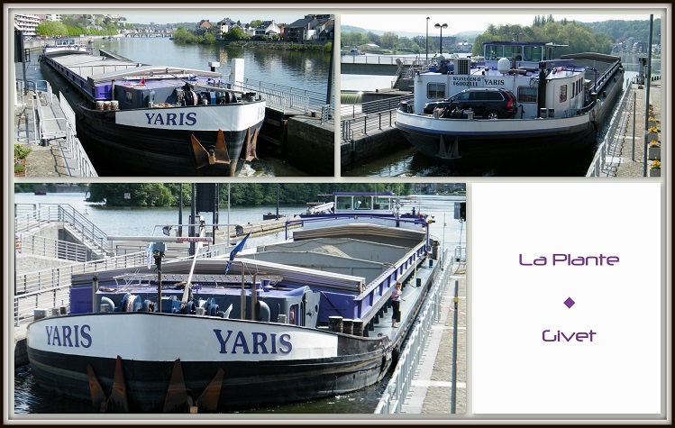 collage-la-plante-geschaald-pix-749.jpg